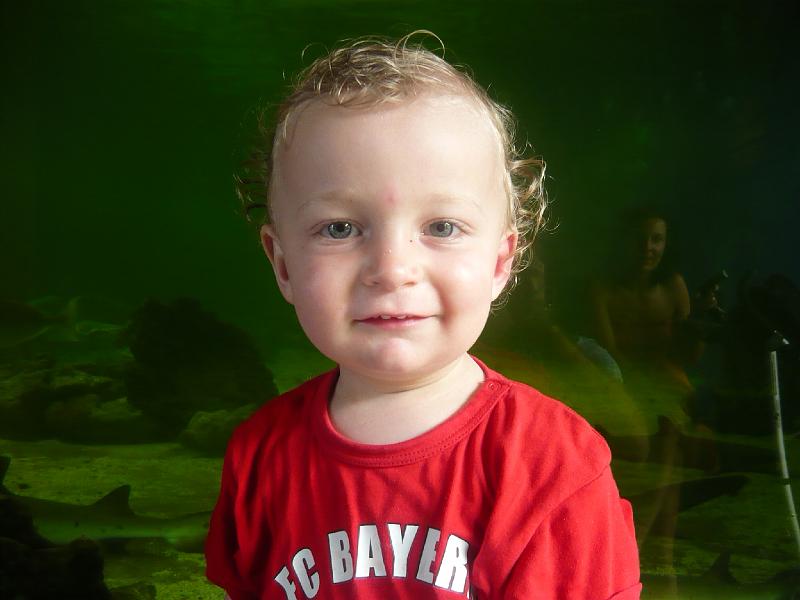 P1000242.JPG - Aquarium visit