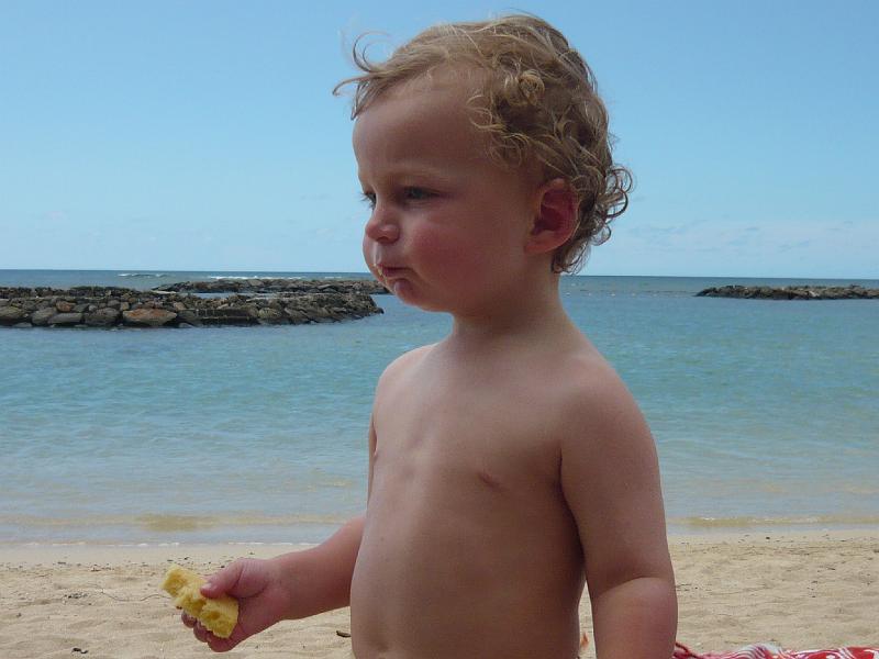 P1000357.JPG - Annanas