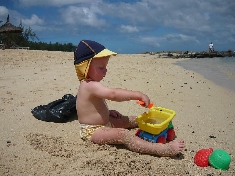 P1000419.JPG - Castle building